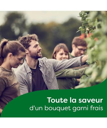 Knorr Bouquet Garnished Thyme Parsley Laurel 99g - Pack of 4 - Buy Online on GoSupps.com