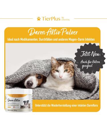 Exvital TierPlus Intestine Active Powder for Dogs & Cats | Probiotics & Prebiotics for Healthy Gut After Diarrhea Worm Treatment & Antibiotics - Buy Online on GoSupps.com