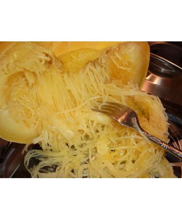 10 Seeds - SPAGHETTI Squash Vegetal - Cucurbita pepo - Buy Online on GoSupps.com