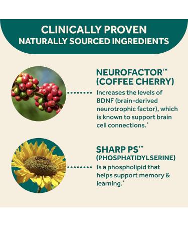 NEURIVA Brain Performance - 24/7 ct 7 Count Coffee Cherry 7 Count (Pack of 1) - Buy Online on GoSupps.com