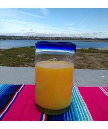 Set of 6 Hand Blown Mexican Drinking Glasses with Cobalt Blue Rims - 14 oz each - Buy Online on GoSupps.com