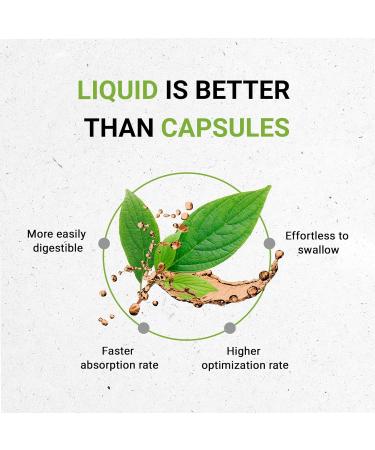 Buy Secrets of the Tribe Wild Lettuce Alcohol-Free Organic Tincture Extract - 2 fl oz (Lactuca virosa) for International Shipping - Buy Online on GoSupps.com