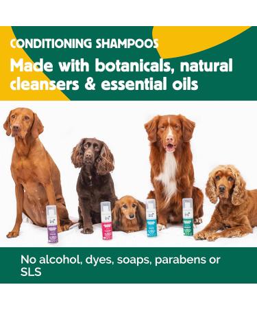 HOWND Yup You Stink 250ml - Dog Shampoo for Smelly Dogs - Fox Poo Shampoo for Dogs - Sensitive Skin Formula with Oatmeal, Eucalyptus, and Cedarwood - Dog Shampoo and Conditioner - Buy Online on GoSupps.com