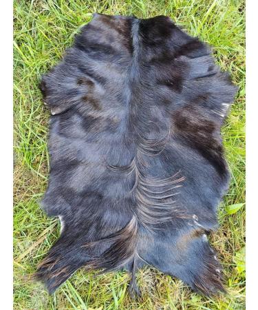 Provellus Goatskins Goat Fur No Odour Top Tanning Natural Bargain (Dark Pack of 5 30-50 cm) - Buy Online on GoSupps.com