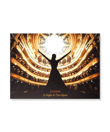 Evanese Beauty 35 Color High Pigment Eyeshadow Palette - Night at the Opera - Buy Online on GoSupps.com