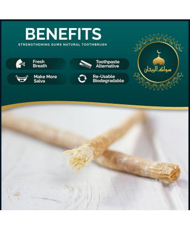 Al Raihan 10 Pcs Miswak Sticks with 2 Holders for Cleaning Teeth - Vacuum Sealed Natural Flavored Tooth Brush - Traditional Chew Sticks for Teeth Whitening Oral Health & Fresh Breath || Pack of 10 1 count (Pack of 10) - Buy Online on GoSupps.com