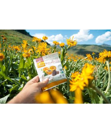 Organic Unsulfured Turkish Apricots - Healthy Dried Fruit Snacks (5 oz) - Non-GMO & Gluten-Free - Buy Online on GoSupps.com