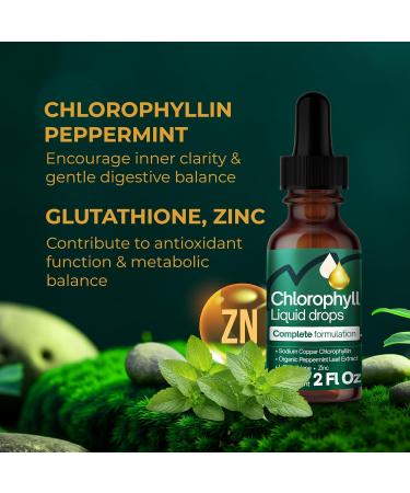 Liquid Chlorophyll Drops 60 ml 100mg per Serving Formulate Zinc Glutathione Mint Extract 2 fl oz Vegan & Sugar-Free - Buy Online on GoSupps.com