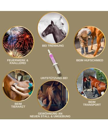 Emma Magnesium Horse Paste 30ml - Calming & Relaxation Formula with L-Tryptophan for Stress Relief in Horses - Buy Online on GoSupps.com