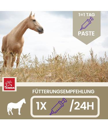 Emma Magnesium for Horses | 1L & 30ml Paste & Liquid | Calm & Relax Nervous Horses | Anti-Stress Nerve Support with Tryptophan - Buy Online on GoSupps.com