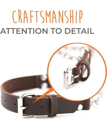 Mighty Paw Leather Martingale Dog Collar | Premium No Pull Training Collar for Dogs - Stainless Steel Chain Cinch - Large, Medium, Small - Brown - Buy Online on GoSupps.com