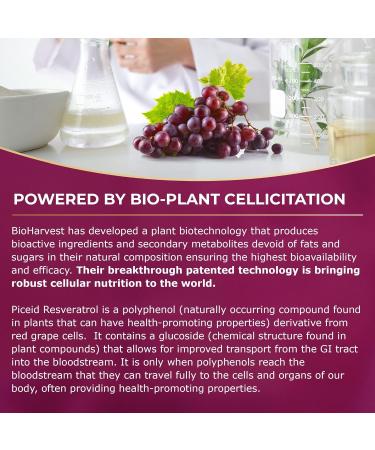 12-Hour Long-Lasting Piceid Resveratrol Supplement. Nitric Oxide Supplement. Supports Heart Health, Blood Flow, Boost Oxygen Superfood Powder, Keto Friendly. Vegan & Non-GMO. 60 Day Supply. - Buy Online on GoSupps.com