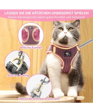 Reflective Cat Dishes with Leash - Adjustable Breakout-Proof Tableware Set for Cats & Small Dogs (Pink-Small) - Buy Online on GoSupps.com