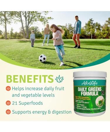 Aloe Life - Daily Greens Powder QAI-Certified Organic Health Supplement Antioxidants 21 Fruits Veggies & Herbs Including Aloe & Nopal Cactus Low-Calorie Keto-Friendly Gluten-Free (30 Servings) - Buy Online on GoSupps.com