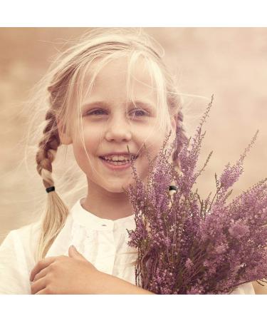 2000 Pack Mini Black Rubber Bands with Box - Soft Elastic Hair Ties for Children, Braiding, Wedding Hairstyles - Buy Online on GoSupps.com