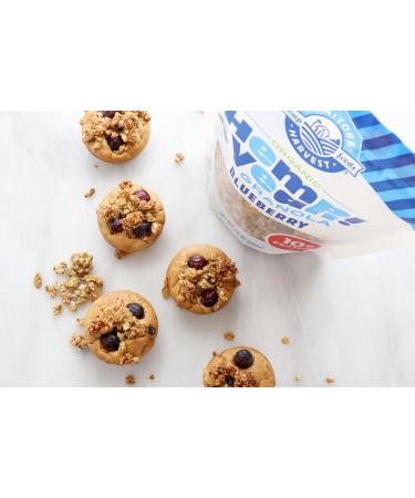 Manitoba Harvest Hemp Yeah! Granola Blueberry 283 g with 21 g of Protein 5 g Omegas 3 g of Fibre and 10 g Sugar Per Serving Organic Non-GMO Packaging May Vary 1 Pack Blueberry - Buy Online on GoSupps.com