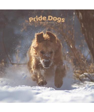 Premium Rabbit Ears Chew Snack for Dogs - 500g | 100% German Quality | Odorless Bag | PrideDogs - Buy Online on GoSupps.com