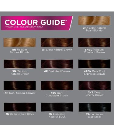 Precision Full-Coverage Hair Color Kit | Light Natural Blonde 9N | Thick Foam for Deep Color Saturation | 4 Piece Set - Buy Online on GoSupps.com