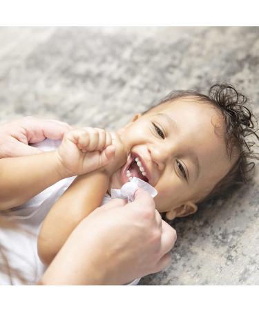Dr. Brown's Healthy Wipes 40 Count Variety 3 Pack for Babies and Toddlers - Buy Online on GoSupps.com