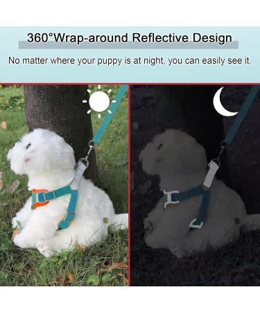 Rennaio No Pull Dog Harness & Adjustable Puppy Dishes Set - Comfortable Chest Harness & Leash for Small/Medium Dogs - Seeblau L - Buy Online on GoSupps.com