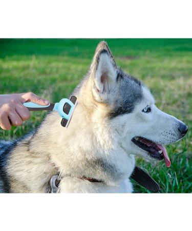 Professional Pet Brush for Cats & Dogs | Reduces Shedding & Tangles | Detachable Stainless Steel Comb | Soft Anti-Slip Handle - Buy Online on GoSupps.com