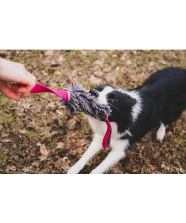 Dingo MOP 60cm Dog Toy - Multicolored Two Handle Agility & Training Toy for Dogs | Perfect for Apport Motivation Games - Buy Online on GoSupps.com