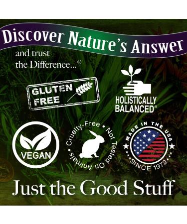 Nature's Answer Lion's Mane 1500 mg - 90 Vegetarian Capsules for Cognitive Support - Buy Online on GoSupps.com
