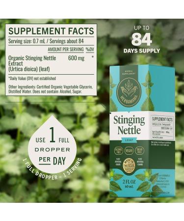 HERBAMAMA Stinging Nettle Tincture - Vegan Urinary Tract Support with Stinging Nettle Leaf Extract Drops - Non-GMO Alcohol & Sugar-Free Urtica Dioica Kidney Supplement 84-Day Supply 2 Fl Oz (Pack of 1) - Buy Online on GoSupps.com
