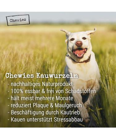 Chewies Chewing Root for Dogs - 100% Natural Durable Dog Toy | Size L for 20kg+ | International Shipping Available - Buy Online on GoSupps.com