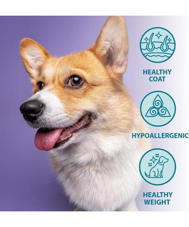Burns - Grain Free Adult Dog Food with Duck and Potatoes - 2 kg - Buy Online on GoSupps.com