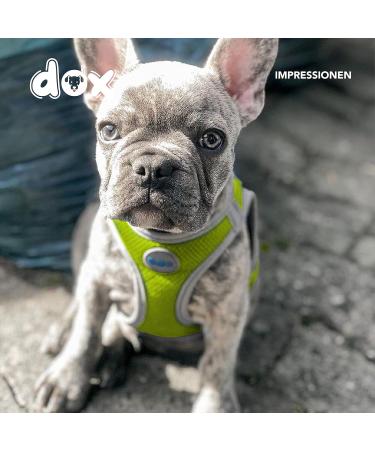 DDOXX Reflecting Airmesh Step-in Dog Harness - Adjustable for All Sizes (M Yellow: Neck 26-36 cm Breast 36-50 cm) - International Shipping Available - Buy Online on GoSupps.com