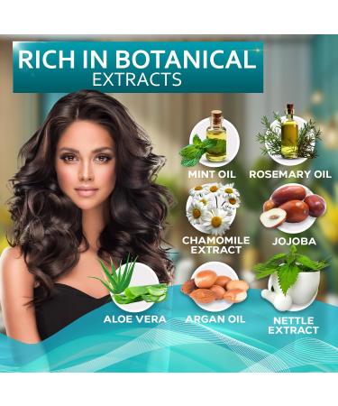 Rosemary Oil & Mint Shampoo & Conditioner Set - Sulfate Free Moisturizing for Men & Women - Treats Dry Scalp Flaky Skin & Dandruff - Thickening Hair Care - Buy Online on GoSupps.com