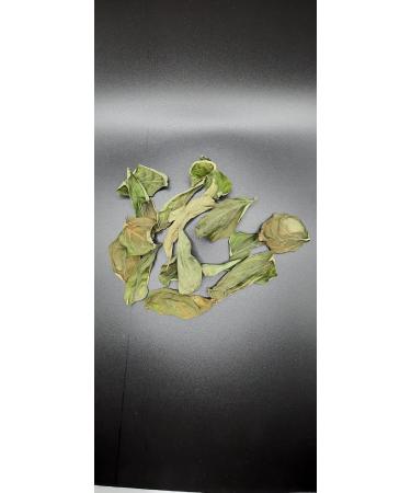 Basil Leaves | Deep Flow - Organic Hydroponic Dried Fresh Flavor Convenient Gourmet Herb - Buy Online on GoSupps.com