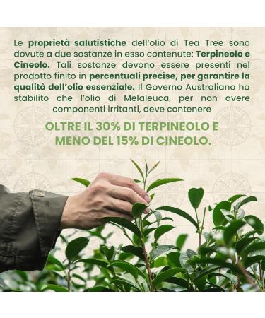 Tea tree nail solution from the Australian company 10 ml - Buy Online on GoSupps.com