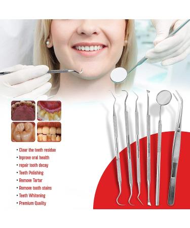 Dental Care Kit - 6 Pcs Stainless Steel Tools for Tooth Filling Repair and Pet Care - Buy Online on GoSupps.com