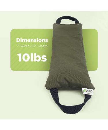 10 LB Purple Yoga Sandbag with Two Handle Design - Made in USA by Bean Products - Buy Online on GoSupps.com
