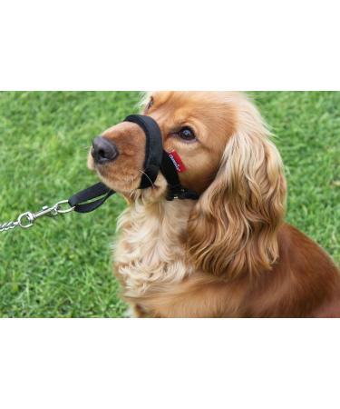 Champion Anti-Pull Training Halter for Dogs - Padded Black No More Pulling | International Shipping - Buy Online on GoSupps.com