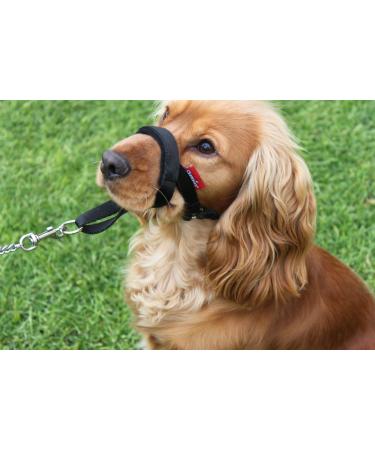 Champion Anti-Pull Training Halter for Dogs Padded 3 Black