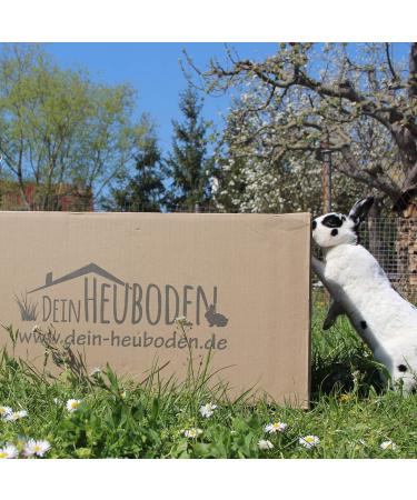 Your Hayloft 4kg Meadow Hay & Bedding for Rabbits Guinea Pigs Hares & Hamsters - Premium Farm-Fresh Rabbit Food for International Delivery - Buy Online on GoSupps.com