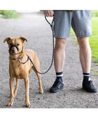 Total Pet Anti-Pull Figure 8 Dog Lead with Padded Nose Support - Medium/Large Black - Buy Online on GoSupps.com