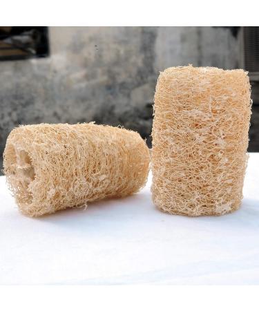 Organic Loofa Bath Sponge Set - 2 Exfoliating Scrubbers | Naturally Grown Loofah - HealthGoodsIn - Buy Online on GoSupps.com