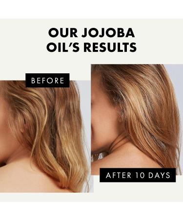 Organic Jojoba Oil for Hair, Face & Skin - Hydrating Face Oil for Gua Sha Massage - Cold Pressed Eclat Jojoba Oil - Buy Online on GoSupps.com