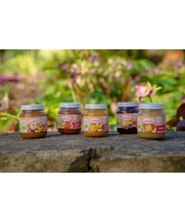 BABYBIO - Small Apple Peach Pots - 2x130g - 4+ Months - Set of 6 - ORGANIC - Buy Online on GoSupps.com