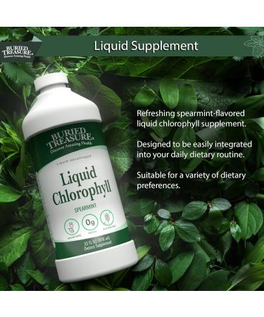 Buried Treasure Liquid Chlorophyll 100 mg, Dietary Supplement, Intestinal Digestive Support Natural Body Deodorant Vegan Non-GMO Alcohol Free, Spearmint Flavor 32oz - Buy Online on GoSupps.com