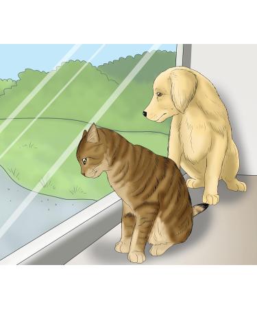 Petherd Emergency ID Card for Pets - Waterproof Credit Card Size - 5 Set Safety Gadget for Dogs & Cats - Ideal for Wallet Car Key Ring - Buy Online on GoSupps.com