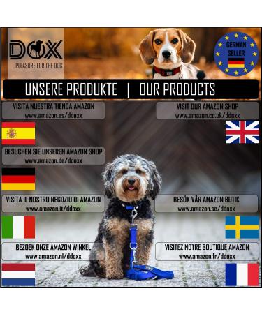 DDOXX Reflective Nylon Dog Leash - 2m 3-Way Adjustable for All Dog Sizes - XS Purple (1.0 x 200 cm) - International Shipping Available - Buy Online on GoSupps.com