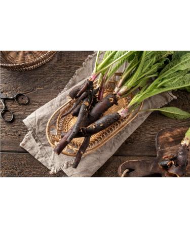 herbnaturalia Comfrey Essence 100ml | 100% Pure High-Quality Essence from Dried Comfrey Roots | No Additives | International Shipping - Buy Online on GoSupps.com