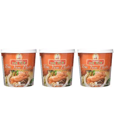 Mae Ploy Tom Yam Paste 1 Kg - Authentic Thai Flavors for Spicy Tom Yam Soup - Buy Online on GoSupps.com