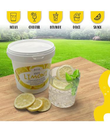 FRESH LEMON FRESH LYOPHILIZED - LEMONS FOR PROFESSIONAL COCKTAILS - HIGH QUALITY DRIED FRUIT - PASTRY ICE ICE - NO ADDED SUGAR - PACK 1 LITRE - Buy Online on GoSupps.com
