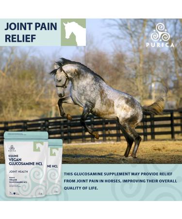 PURICA Vegan Equine Glucosamine - 1kg - Premium Joint Supplement for Enhanced Movement 1 kg (Pack of 1) - Buy Online on GoSupps.com